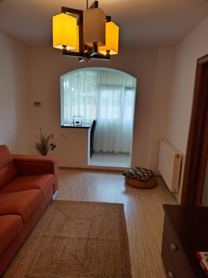 Chic Apartment Pitesti Ngoại thất bức ảnh